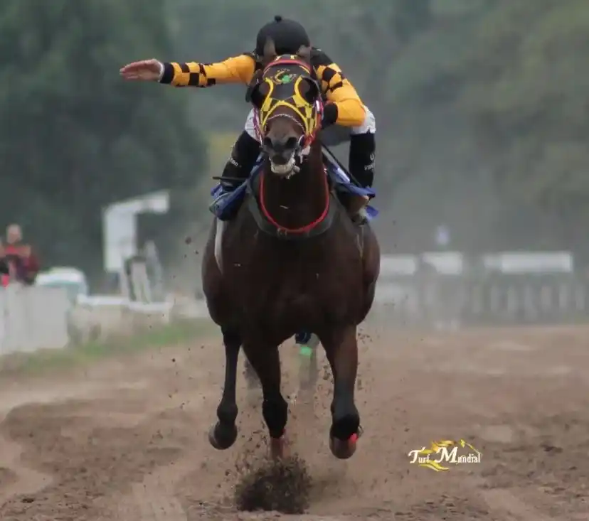 Redivertido, entrenado por José Alderete y propiedad de Daniel Povarchik, ganó en forma notable en el cotejo de velocidad.