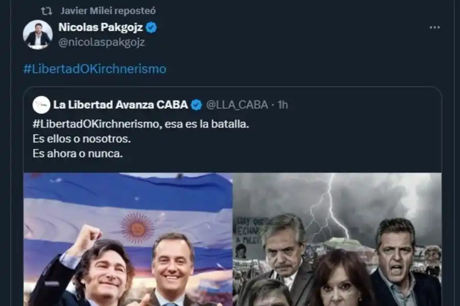 Milei festejó la salida del cepo en sus redes sociales: Mandril decime qué se siente