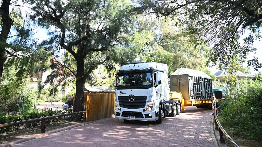 Así fue el emotivo traslado de “Pupy”, la última elefante de Ecoparque, a un santuario