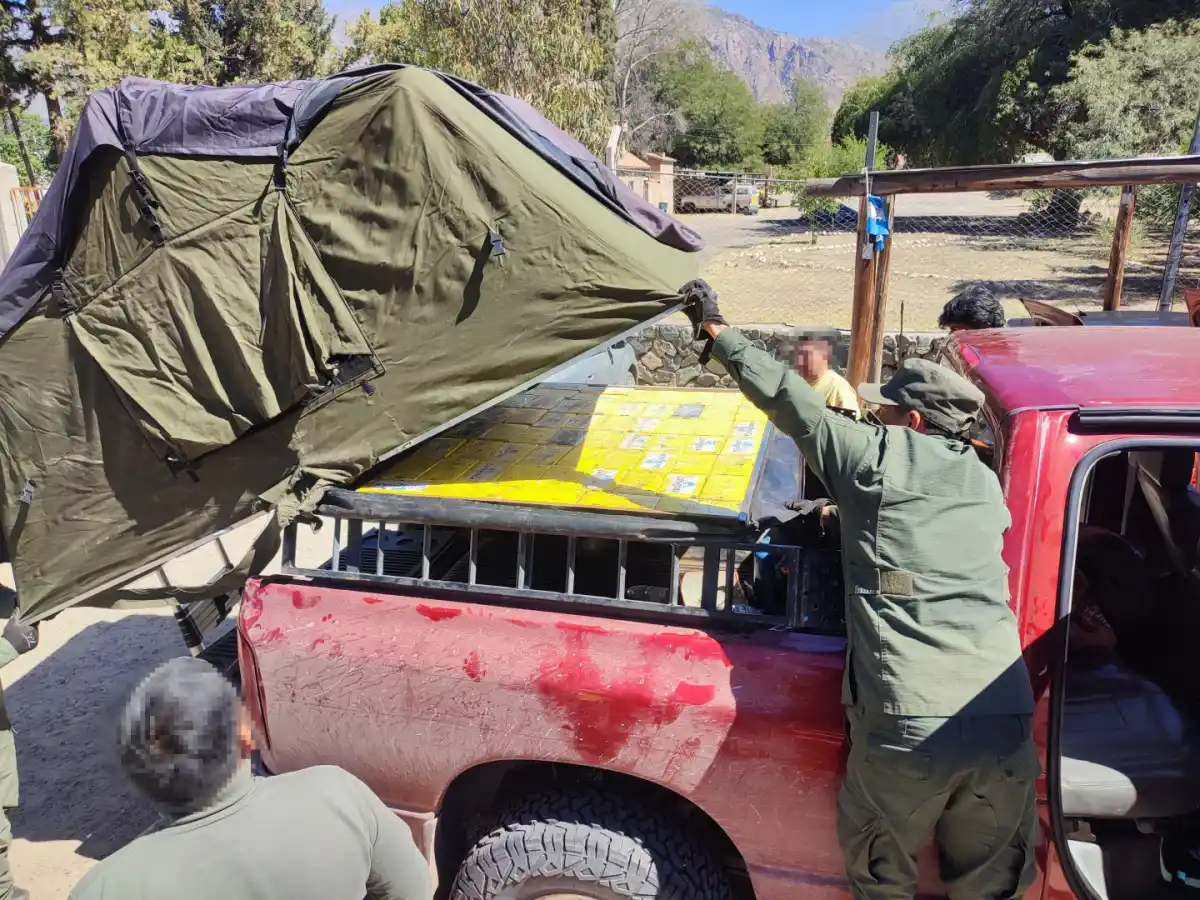 Decomisan más de 300 kilos de cocaína en rutas del NOA