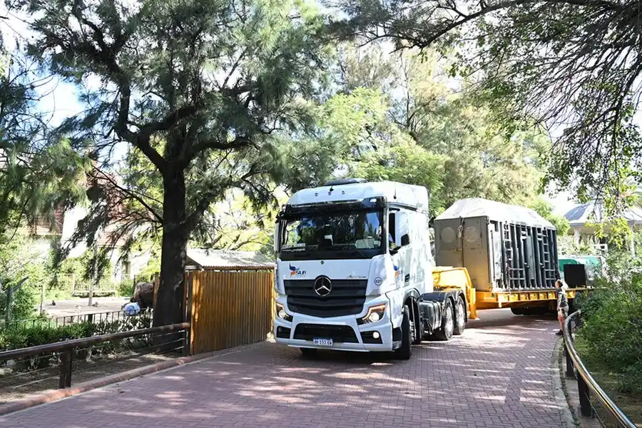 Así fue el emotivo traslado de “Pupy”, la última elefante de Ecoparque, a un santuario
