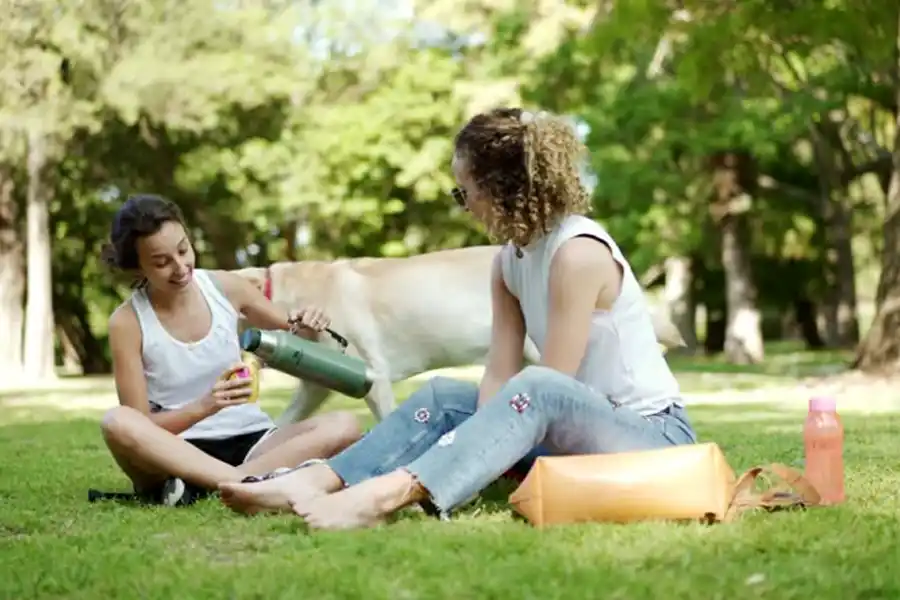 JUNTARSE CON AMIGOS. Para la mayoría estar bien es encontrar un equilibrio entre el tiempo personal y las amistades. / ARCHIVO.