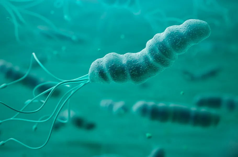 Cómo detectar la helicobacter pylori, una bacteria que puede causar cáncer de estómago