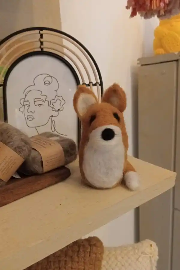 Zorros grises en Tafí del Valle: el desafío de una convivencia armónica entre la naturaleza y nosotros