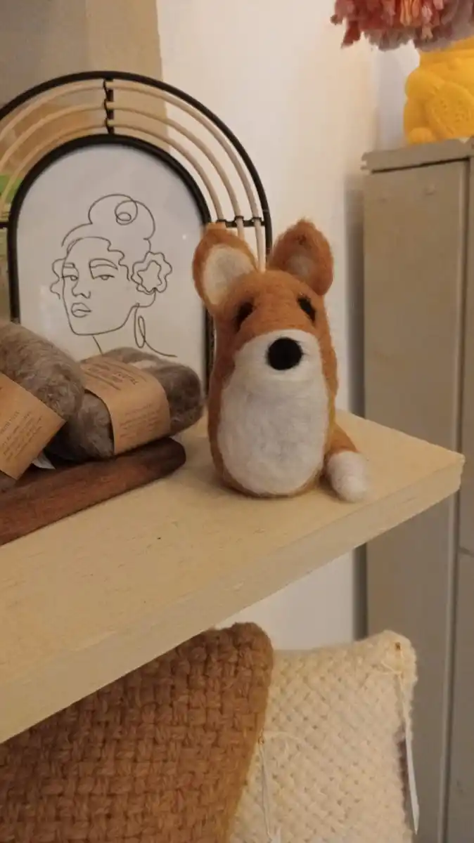 Zorros grises en Tafí del Valle: el desafío de una convivencia armónica entre la naturaleza y nosotros