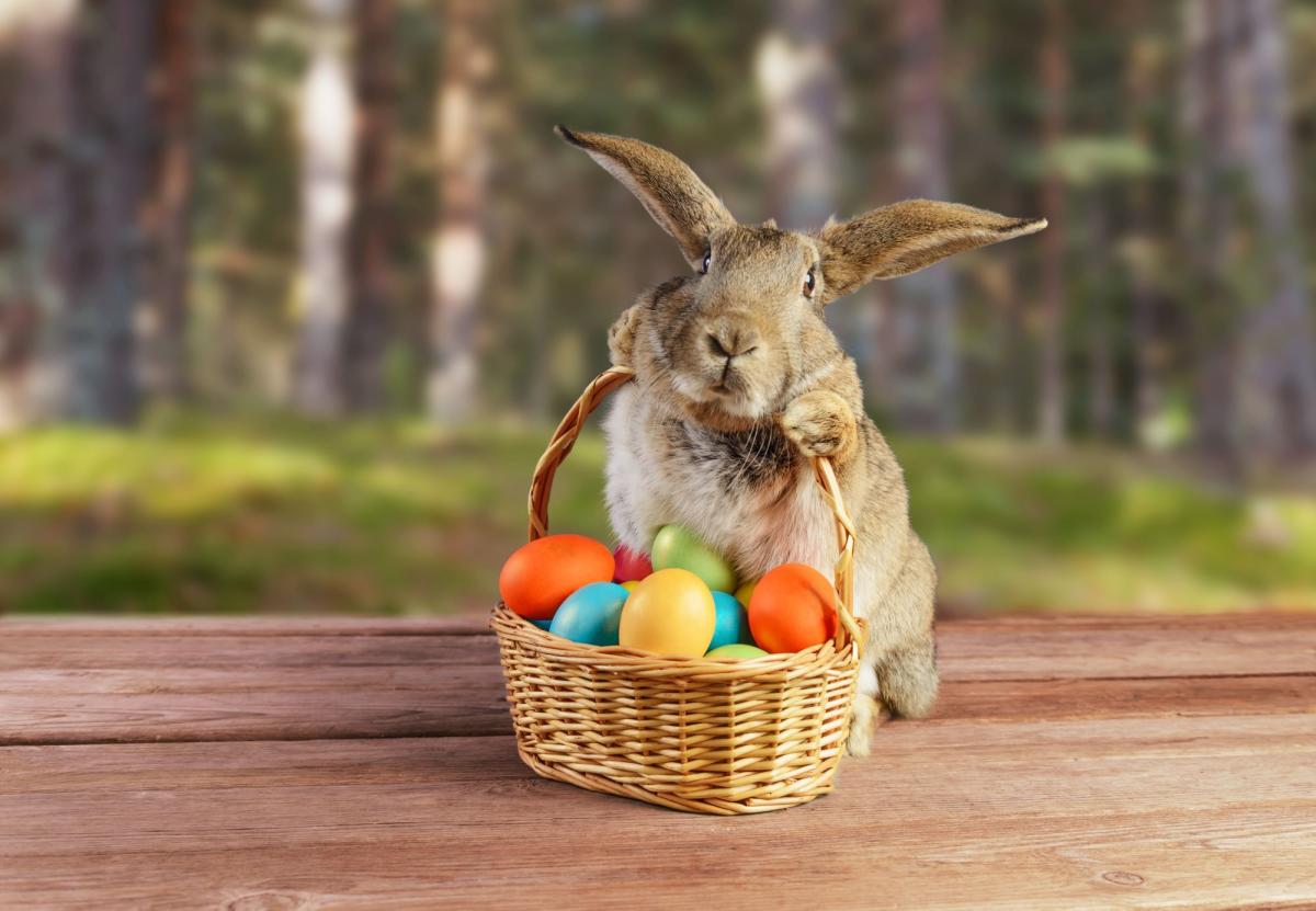 Huevos, conejos y roscas: de dónde vienen las tradiciones más populares de Pascua