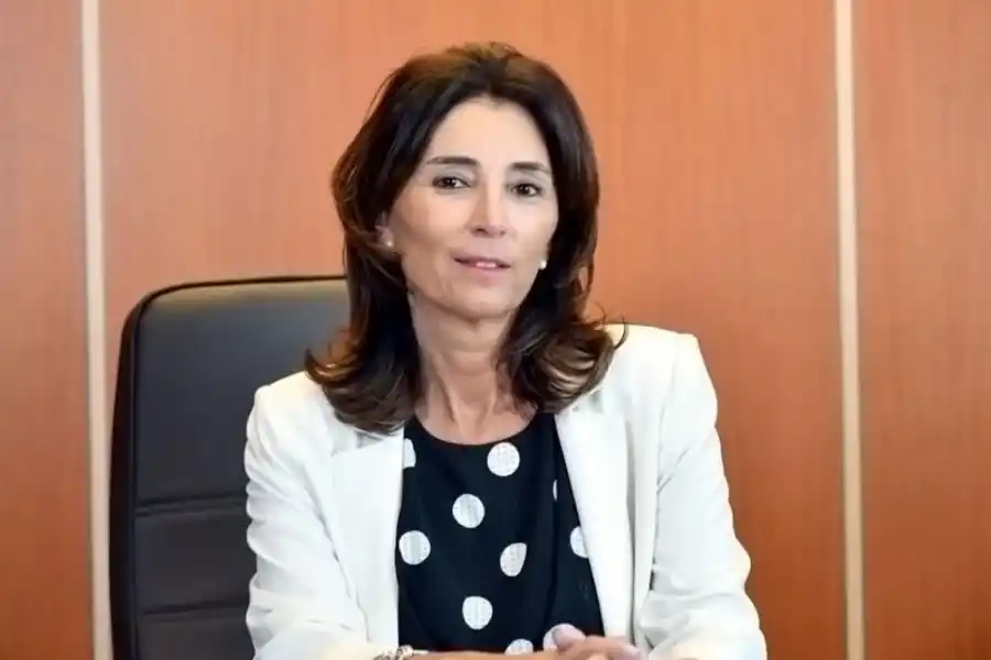 Reforma electoral: “El sistema se debe adaptar a la necesidad de cada lugar”