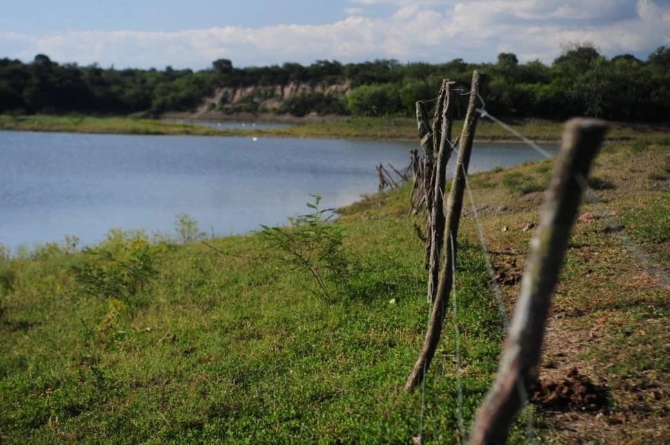 UNA DURA IMAGEN. Los postes con alambrados que marcan los lotes quedan tapados por el agua en la cola del lago El Cadillal.