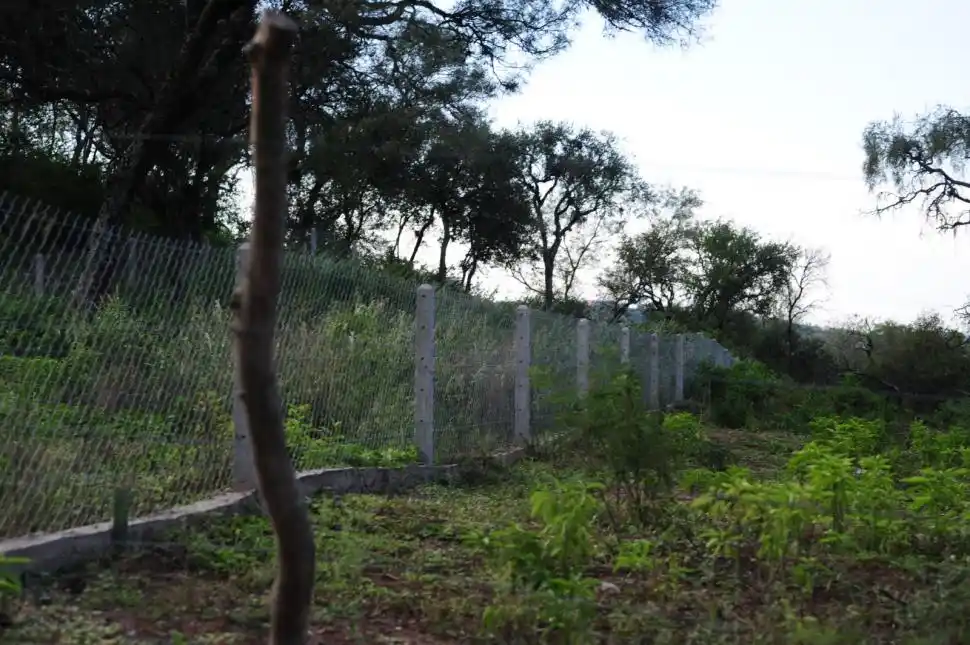 MÁS PRUEBAS. Los lotes alambrados ya forman parte de Ticucho.