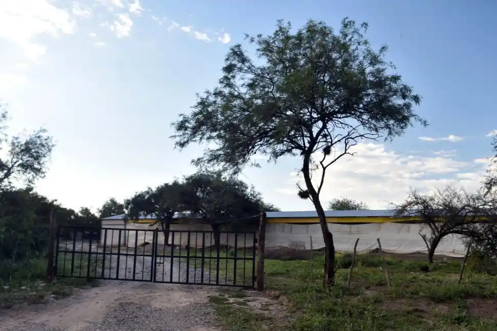 GALPÓN. La avícola más grande que está en la vera de la 312.