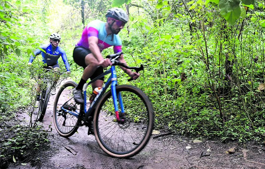 El boom y la relevancia de la creatina