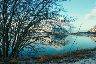 Los cuatro lugares más silenciosos del mundo, según una prestigiosa revista