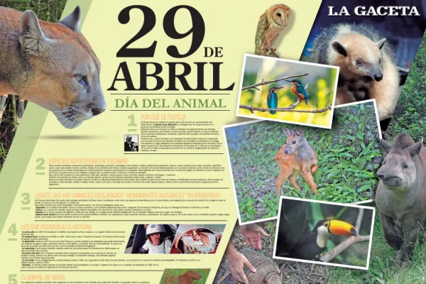 Este sábado, una herramienta educativa imperdible llega con LA GACETA