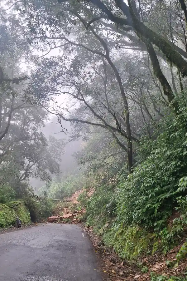 Deslizamiento de tierra. 