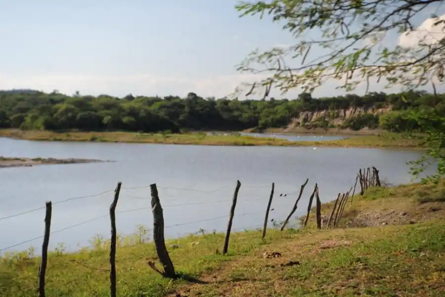 PEGADITO A LA ORILLA. Los alambrados que fueron colocados en la ribera del lago, en India Muerta.