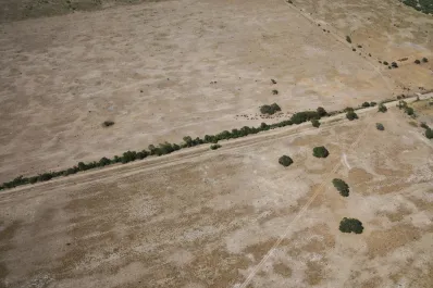 El gobierno de Javier Milei declaró la emergencia agropecuaria para Chaco y Santa Fe