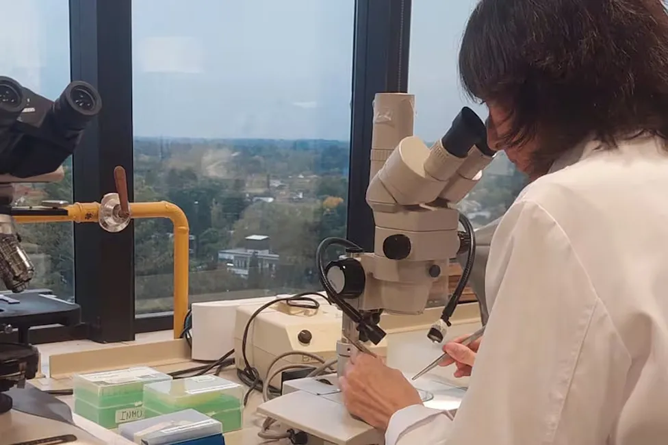 CIENCIA ARGENTINA. La doctora Florencia Coronel fue parte del equipo que creó una innovadora terapia con cannabis para prevenir el dolor crónico causado por la quimioterapia.