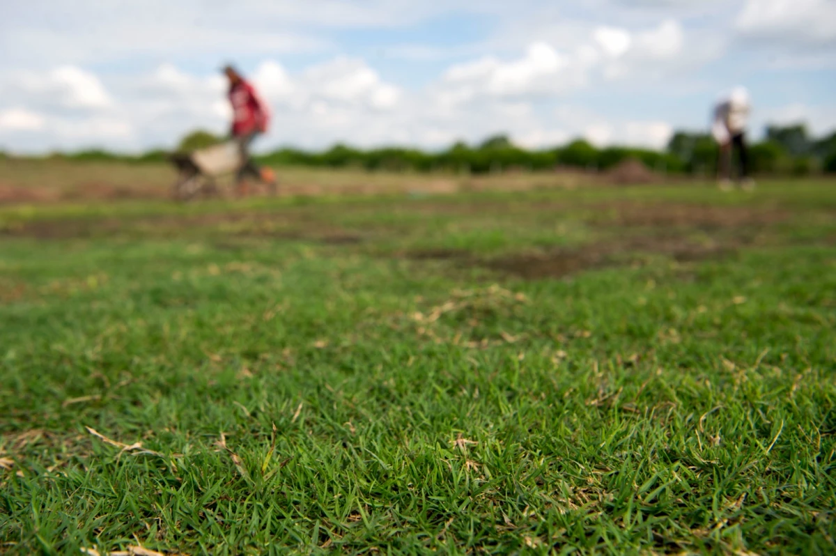 FOTO: DIEGO ARAOZ - LA GACETA