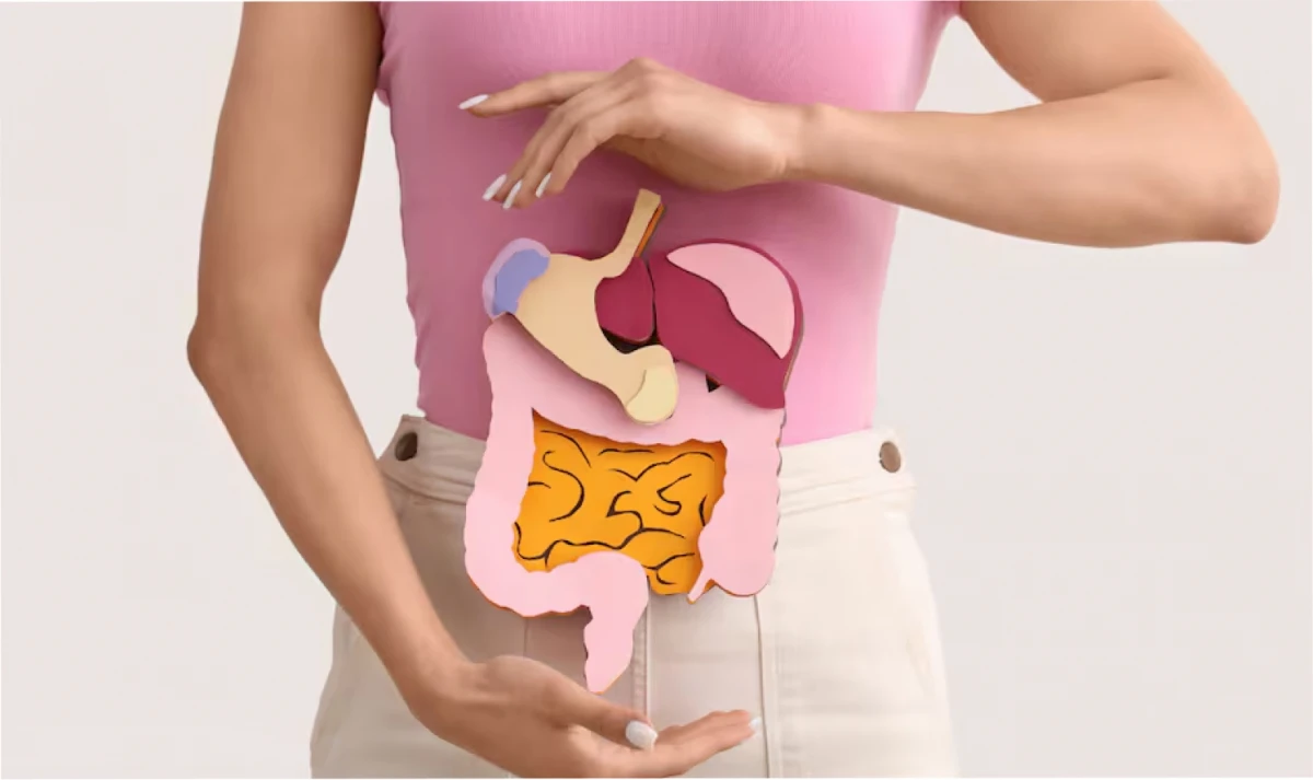 Alimentos para recuperar tu intestino.