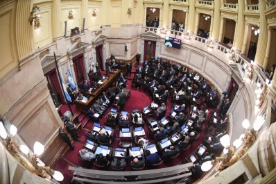 El Senado recordó al papa Francisco
