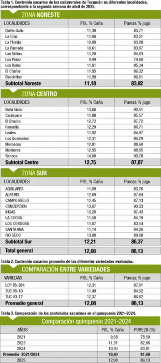 Tucumán: cañaverales presentan un estado madurativo superior al de igual época de 2024
