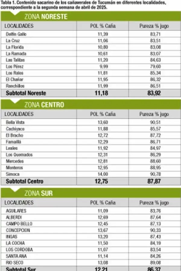 Tucumán: cañaverales presentan un estado madurativo superior al de igual época de 2024