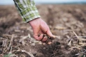 Día de la Tierra: la importancia del suelo