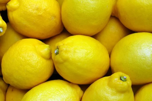 La suba de aranceles por parte del Gobierno de Trump afectará el mercado frutihortícola global
