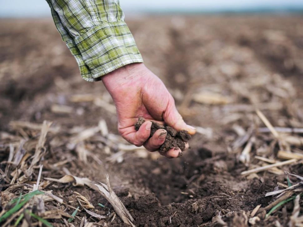 Día de la Tierra: la importancia del suelo