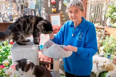 Tiene 90 años, trabaja y esta es su motivación para seguir rescatando animales