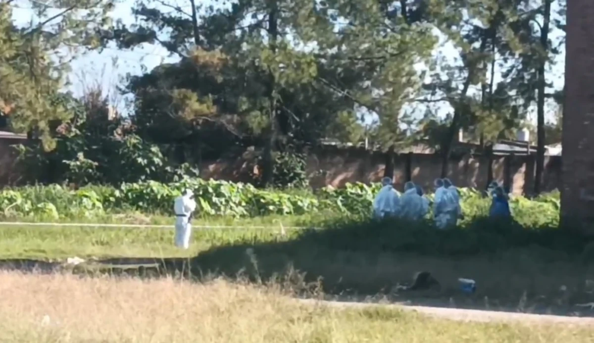 Femicidio en el Mercofrut: qué registraron las cámaras de seguridad y por qué complican a la ex pareja de la víctima