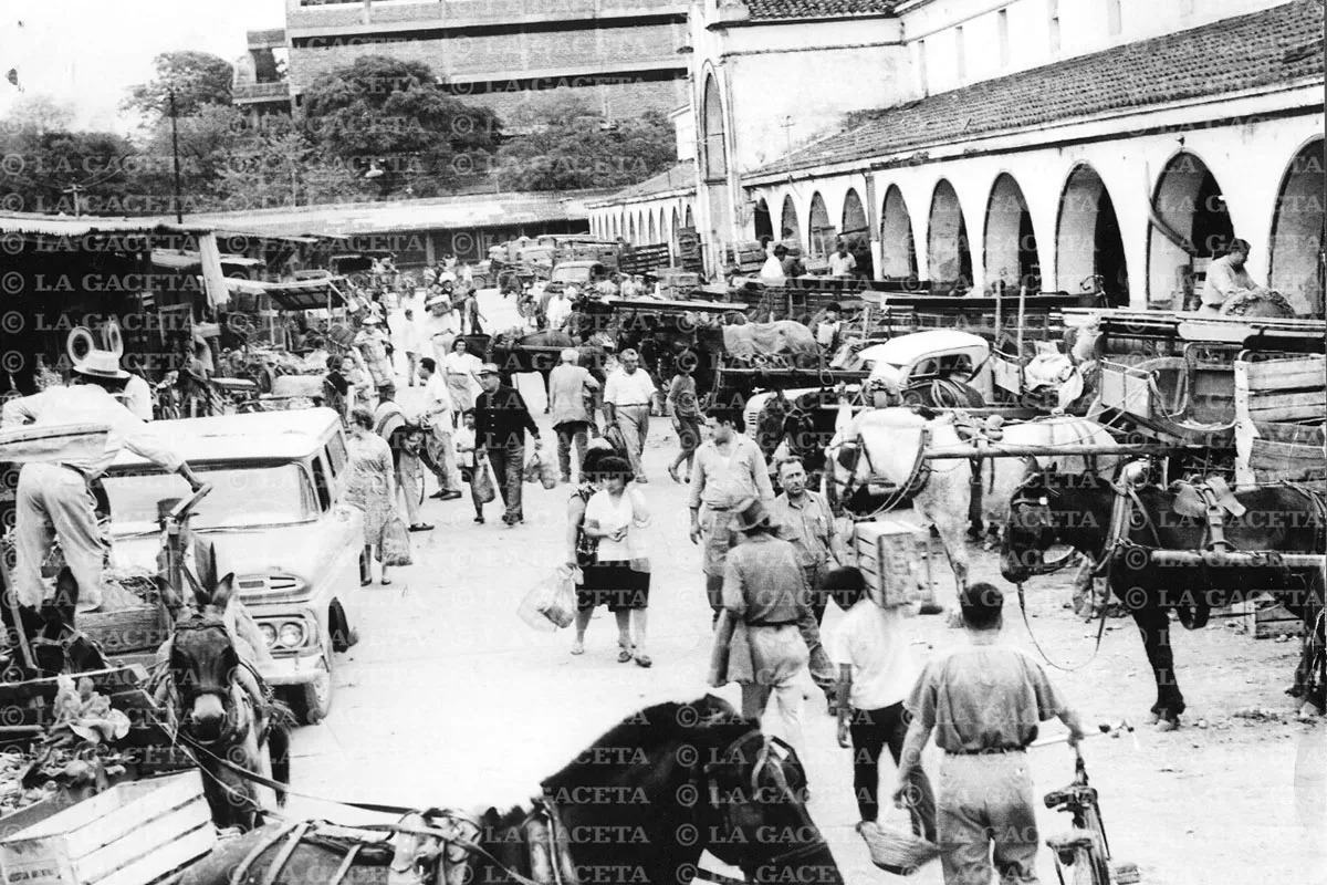 Recuerdos fotográficos: un desorden encantador