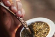 Crisis en la yerba mate: cosecha mínima histórica y un futuro incierto para los productores