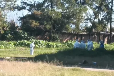 Femicidio en el Mercofrut: qué registraron las cámaras de seguridad y por qué complican a la ex pareja de la víctima