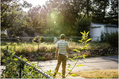 ¿Tu hijo observa el cielo constantemente? Esto revela algo bueno según expertos