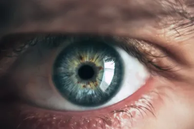 Descubrieron un nuevo color y solo cinco personas lograron verlo: ¿cuál es y cómo se llama?