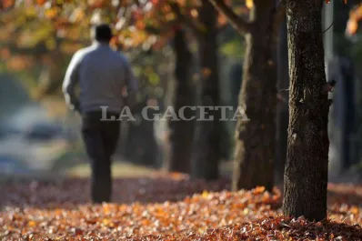 El otoño se hace sentir en Tucumán: neblina por la mañana y una tarde templada para este 3 de mayo