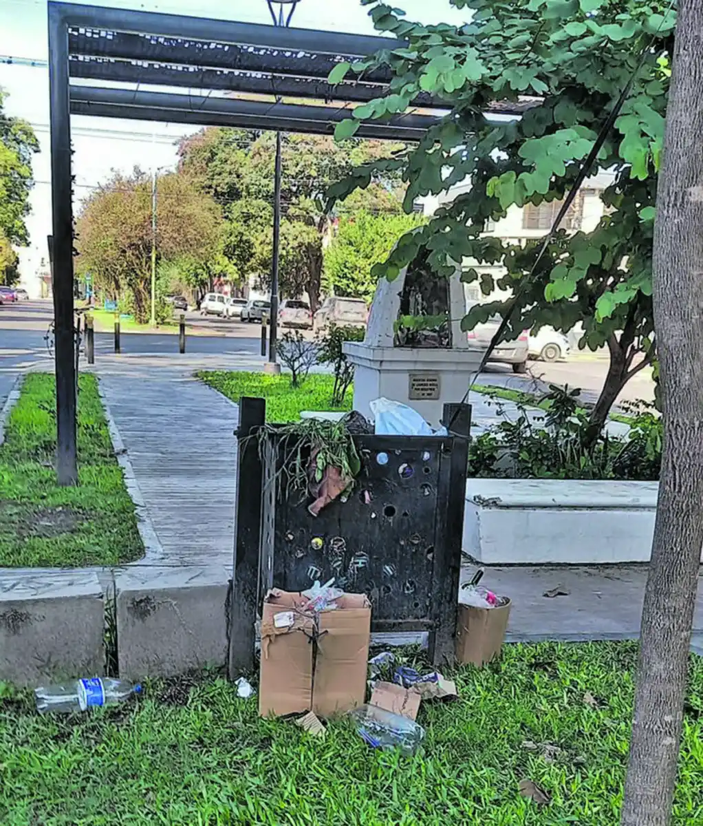 Cartas de lectores: basural contaminante