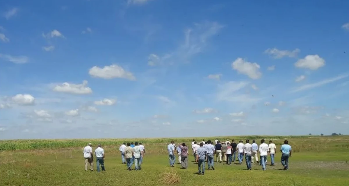 Jornada de campo. FOTO CREA
