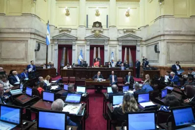 El Gobierno confía en aprobar Ficha Limpia en el Senado