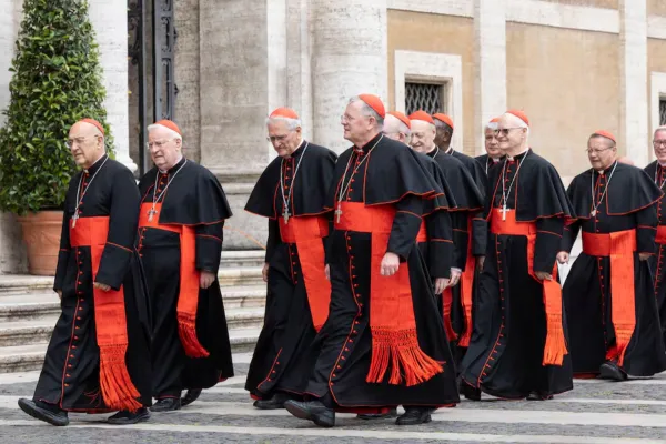 Príncipes de la Iglesia: qué hacen los cardenales, cómo se eligen y por qué visten de rojo