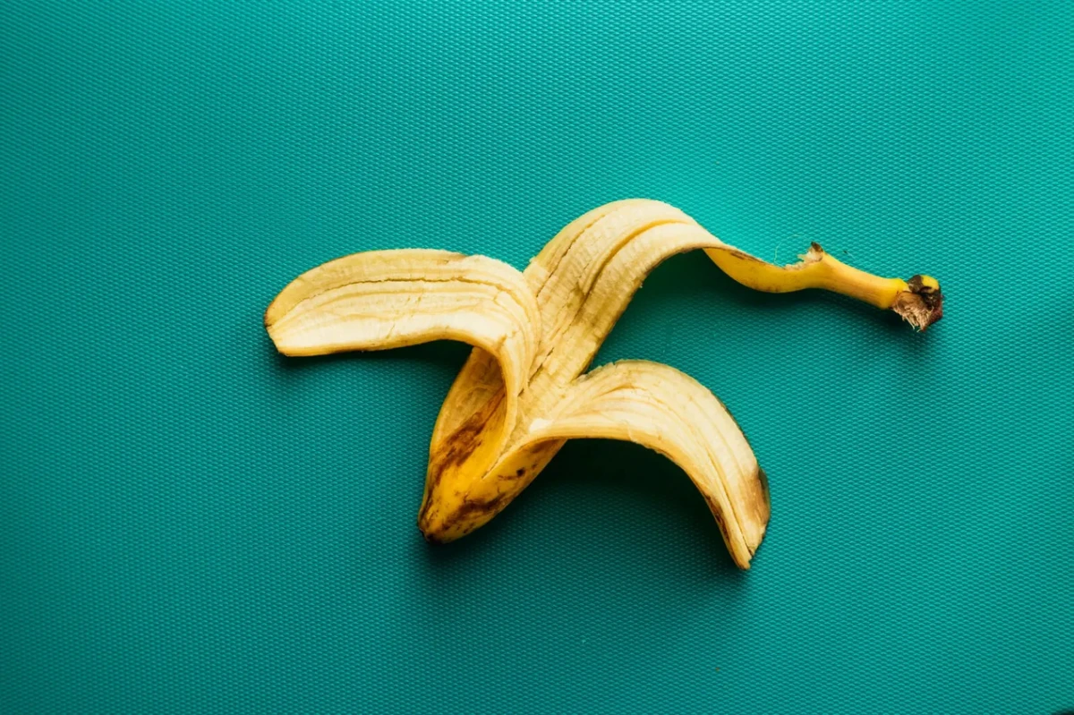 ¡No la descartes! Así podés utilizar la cáscara de banana como fertilizante natural