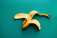 ¡No la descartes! Así podés utilizar la cáscara de banana como fertilizante natural