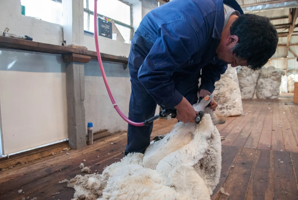 Producción. PRENSA AGRICULTURA