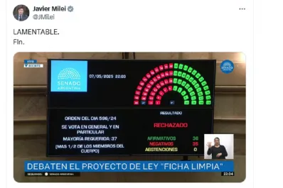 Milei criticó el rechazo de la Ley de Ficha Limpia en el Senado: “Lamentable”