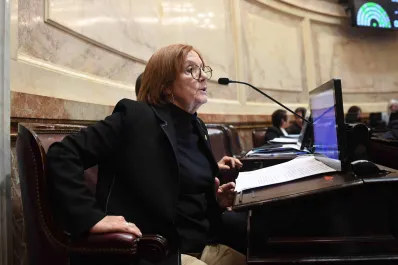 Ficha Limpia: “Una persona con antecedentes penales no puede ser candidata”, afirmó Vigo