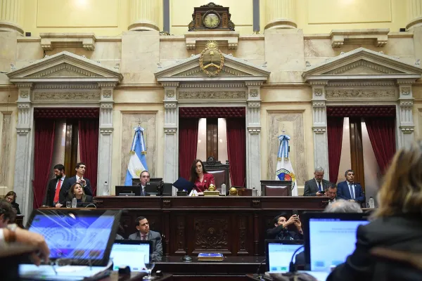 Por un voto: El Senado rechazó el proyecto de ley de Ficha Limpia