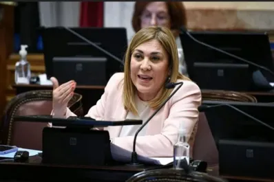 El rechazo a Ficha Limpia: “Es un fracaso de la política”