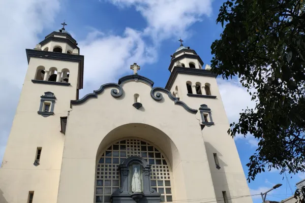 “Lloré porque recé mucho por este momento”: Tucumán también escuchó las campanas que anunciaron al nuevo Papa
