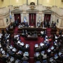 El oficialismo se quedó sin Ficha Limpia y acusó a la casta